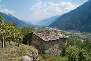Rustico con terreno Valtellina