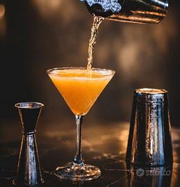 Proposta di Investimento: Business & Lifestyle