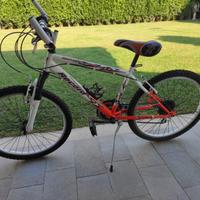 Bicicletta Mountain Bike