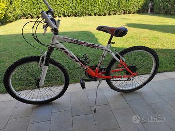 Bicicletta Mountain Bike