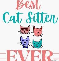 Cat-sitter disponibilità immediata