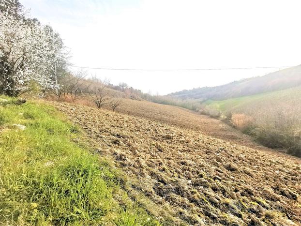 TERRENO COLLINARE in zona VALDASO DI MONTEFIORE