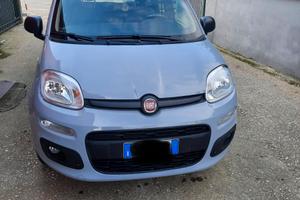 Fiat panda hybrid