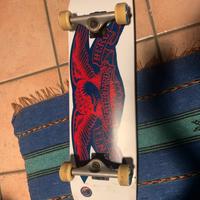 SKATEBOARD ANTIHERO COMPLETO