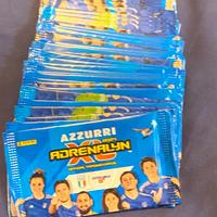 Carte adrenalin XL, CALCIATORI PANINI