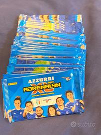 Carte adrenalin XL, CALCIATORI PANINI