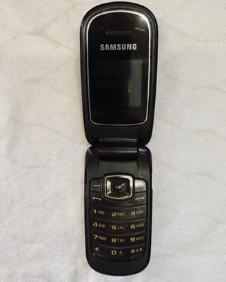 Samsung  SGH conchiglia epoca