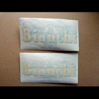 BIANCHI AQUILOTTO DECALS ORIGINALI