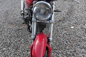 ducati monster 