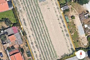  Terreno agricolo in Torre del Lago