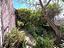 Immagine 29