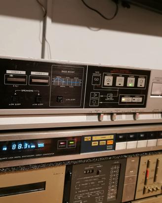 🎵Sony amplificatore 55 watt e radio 