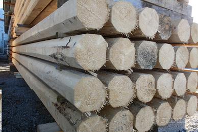 Donazione legname per costruzione