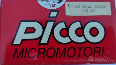 Motore” Picco P21”
