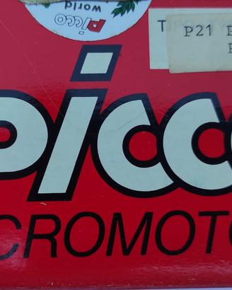 Motore” Picco P21”