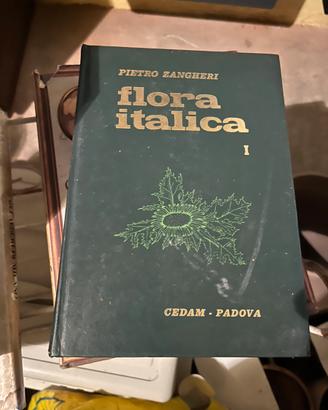 Flora italica