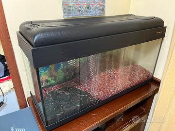 vasca per tartaruga o pesciolini