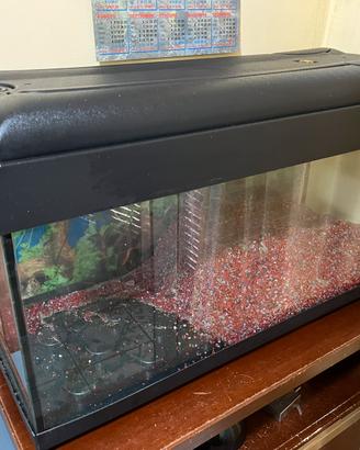 vasca per tartaruga o pesciolini