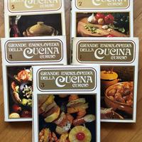 Grande Enciclopedia della Cucina - G. Bonomo