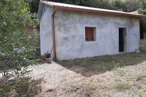 Casetta con terreno