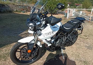 Triumph Tiger 800 xrt 