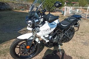 Triumph Tiger 800 xrt 