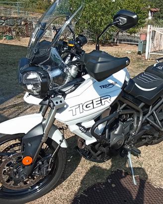 Triumph Tiger 800 xrt 