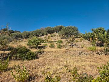  terreno con casetta 