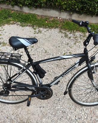 Bici uomo city bike