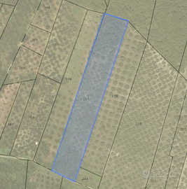 LEGNA DA ARDERE VARIE