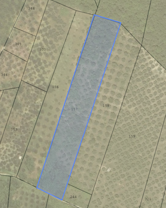 LEGNA DA ARDERE VARIE