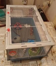 Gabbia Ferplast + extra