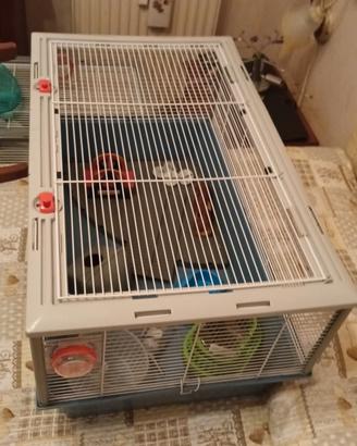 Gabbia Ferplast + extra