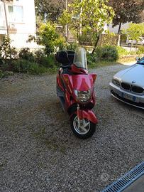 honda foresight 250