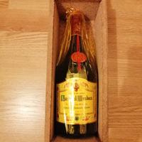 CARDENALMENDOZA BRANDY DE JEREZ NUOVO ASTUCCIATO