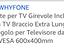 Immagine 3