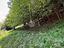 Immagine 22