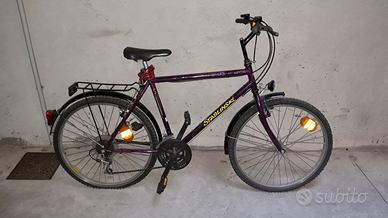 Bicicletta uomo City Bike