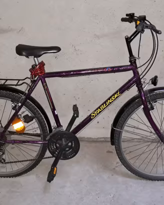 Bicicletta uomo City Bike