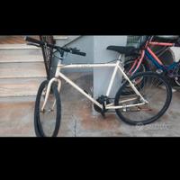 mountain bike