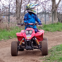 Quad mini quad 70 Malossi