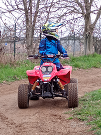Quad mini quad 70 Malossi