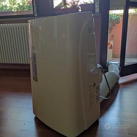 argo climatizzatore portatile