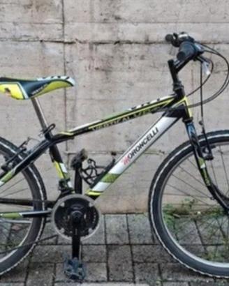 bicicletta mountanbike 24