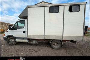 IVECO DAILY 35 C9 TRASPORTO CAVALLI 2 POSTI MOTORE