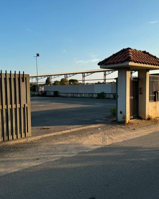 Terreno agricolo recintato