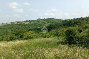 TER. AGRICOLO A BORGHI