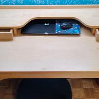 Scrivania in Betulla 