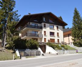 MONOLOCALE A PINZOLO
