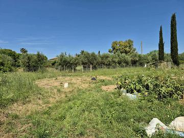 Terreno Agricolo Grosseto [Cod. rif 3249948VCG]
